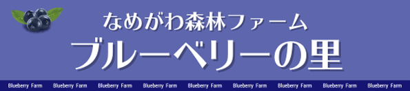 なめがわ森林ファーム